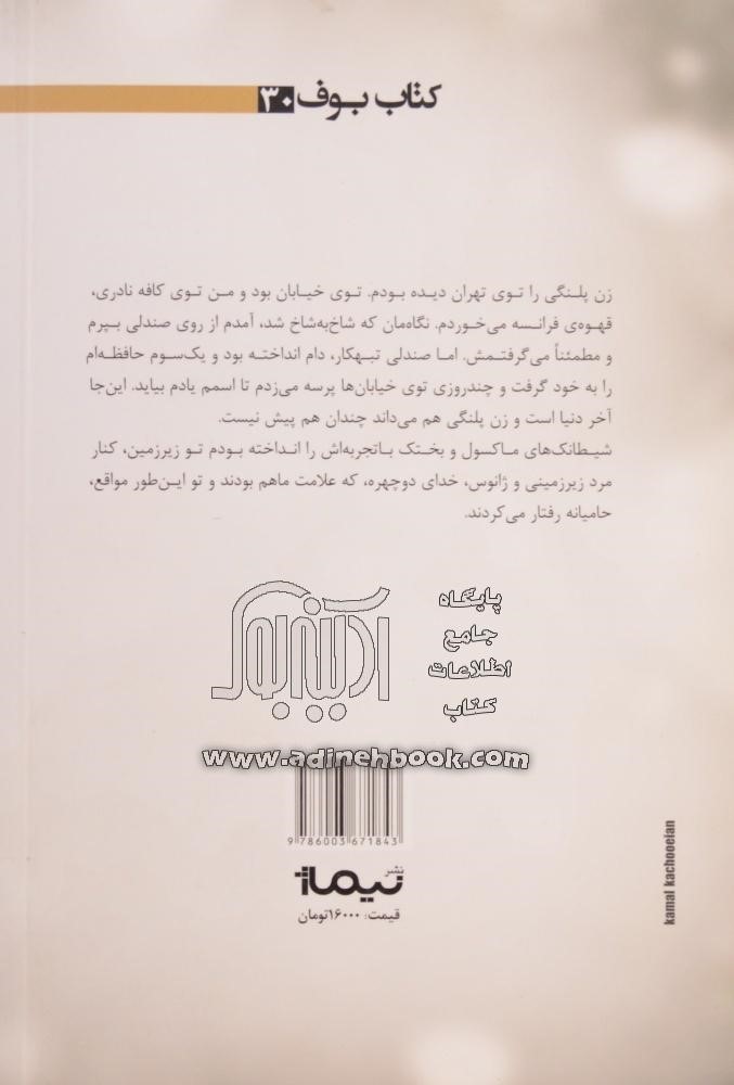 نویسنده ای که حریم «مخاطب» را حفظ نمی کند/ به سخره گرفتن هویت ایرانی در یک کتاب مجوز دار